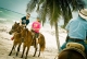 Quads Tulum