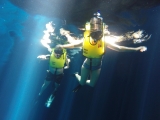 Schnorcheln Sie in einer Cenote Ihrer Wahl in Mérida, 8 Stunden