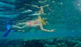 Snorkeling tour in Los Cabos Bay for children 3.5 hours