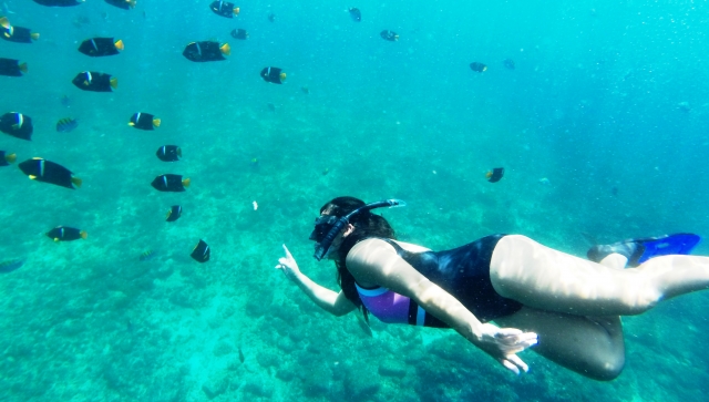  snorkeling 