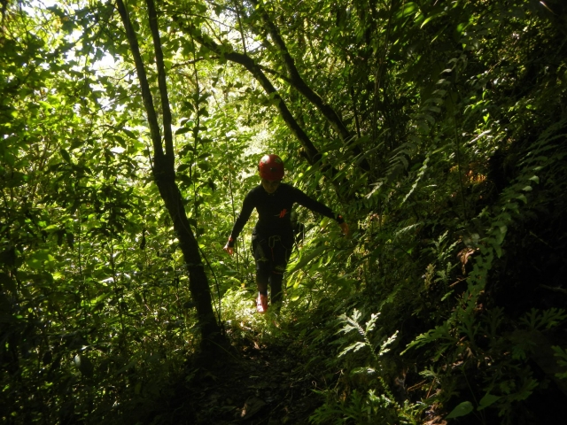 Avanzare nella vegetazione 