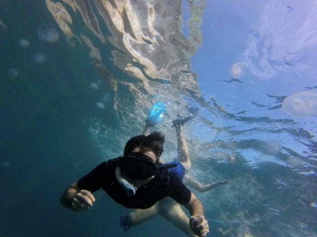  浮潜之旅 
