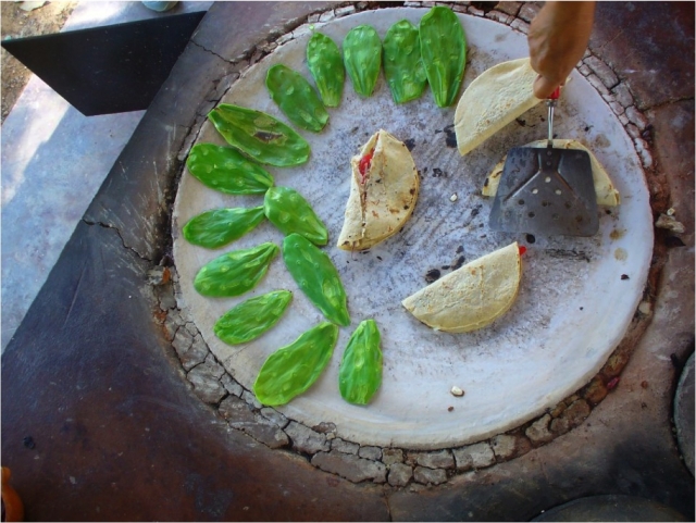  Degustazione 