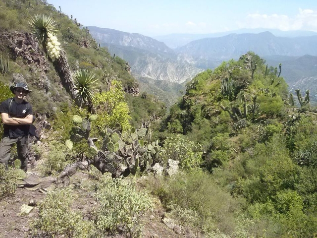  Ambiente naturale 