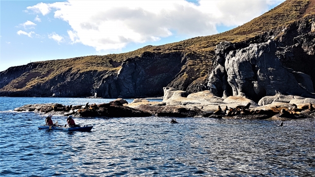 Paseo en kayak