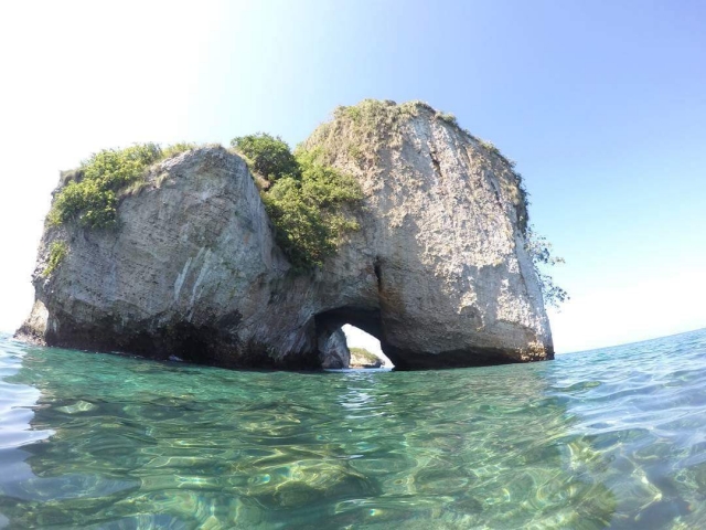  venir à vallarta 