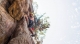 Abseiling Valle de Bravo