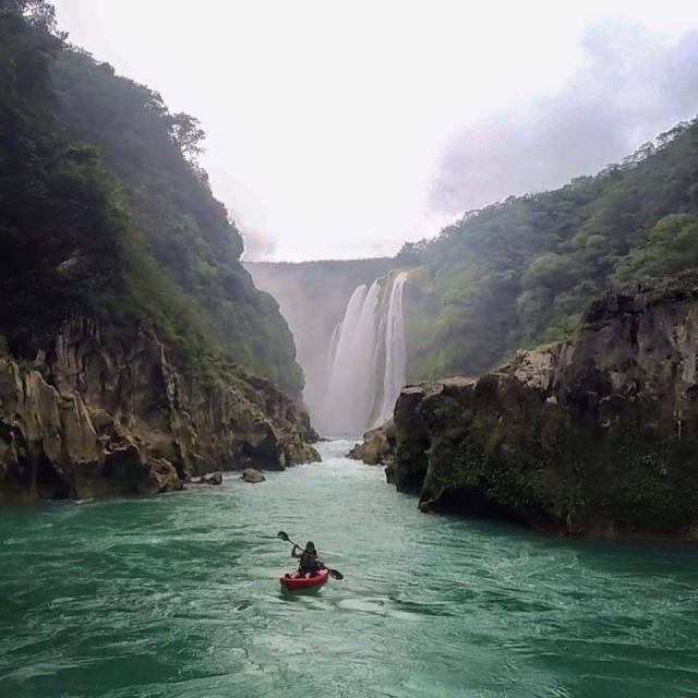  Potosina huasteca 
