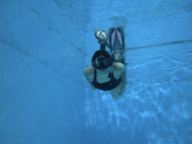 Prueba el buceo
