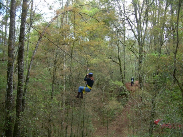  Seilrutsche im Wald