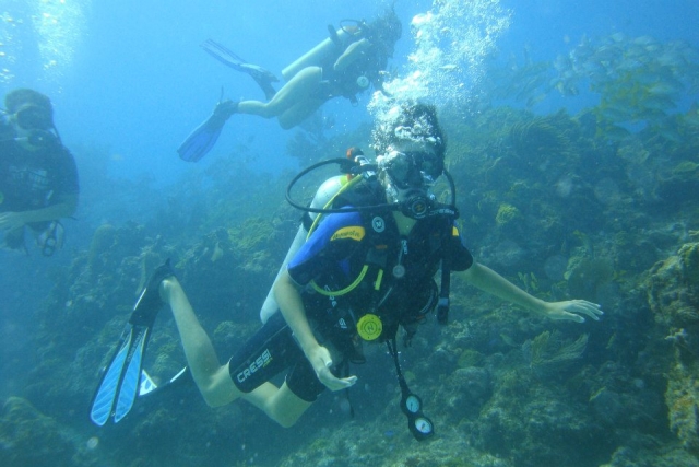  Plongée dans les Caraïbes 