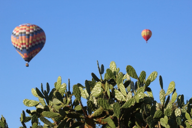  Fly and enjoy the views 