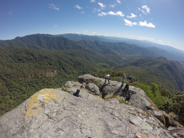  步道山顶 