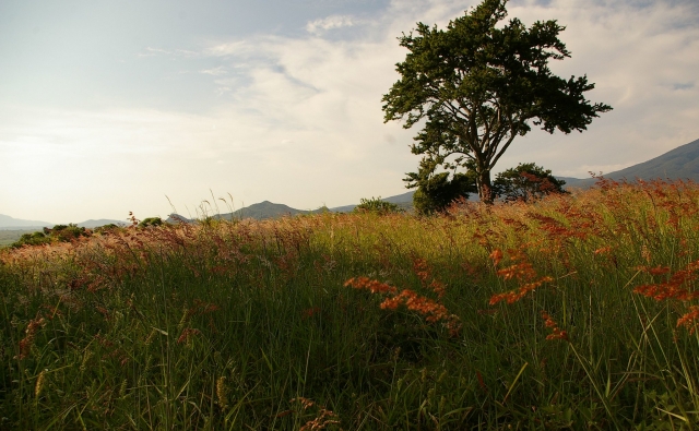 Vista para a zona arqueológica 