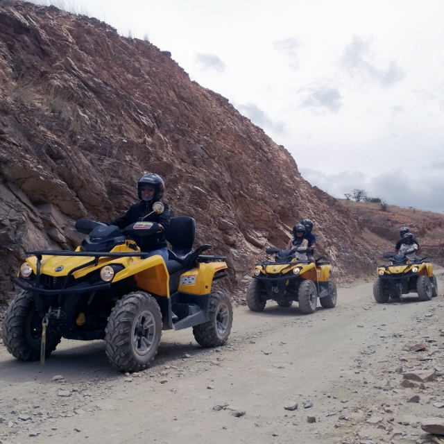  Land activity
