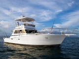 Schnellbootangeln mit Ausrüstung Puerto Vallarta 3h
