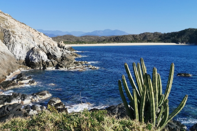  santa cruz 