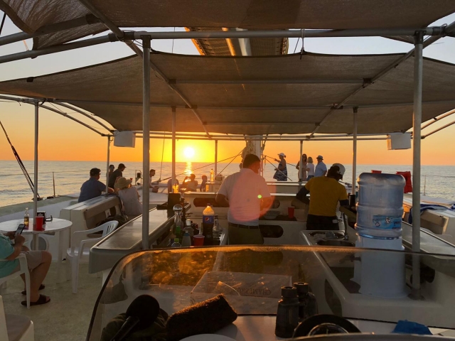  catamarano 