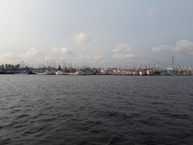  Sailing through the bay 