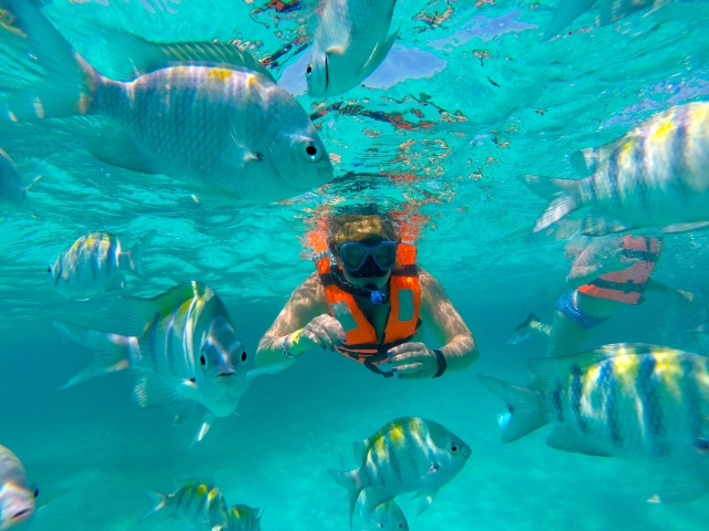 Snorkel en el arrecife