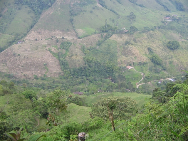  tlajomulco 