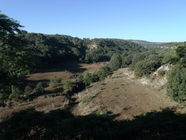 Cerros de la primavera