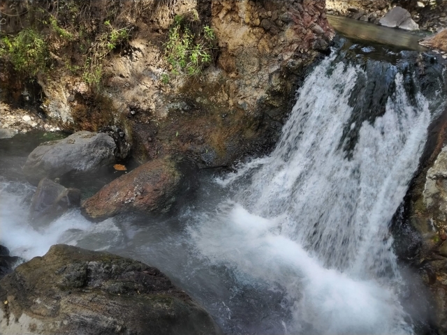 cascadas bosque primavera