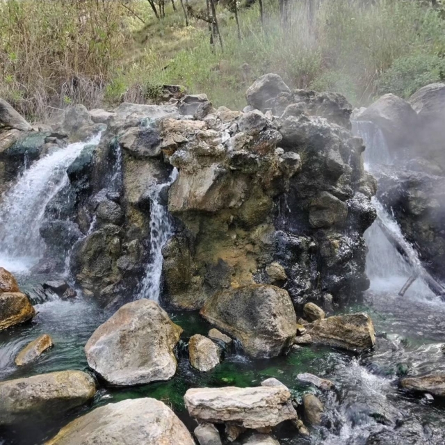 paisaje en el bosque