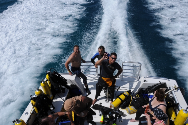  transfers to diving points 