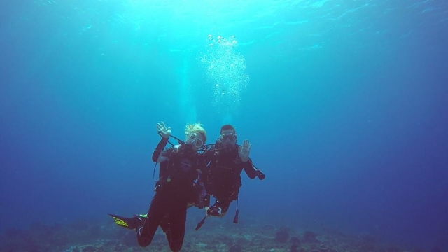  Dive in a group 