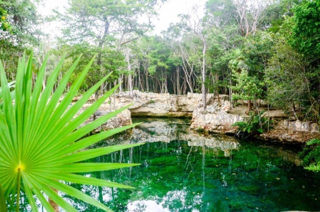  Cenote Maya 