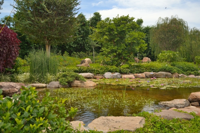  Landscapes to see