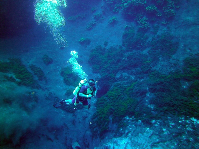  guide esperte 
