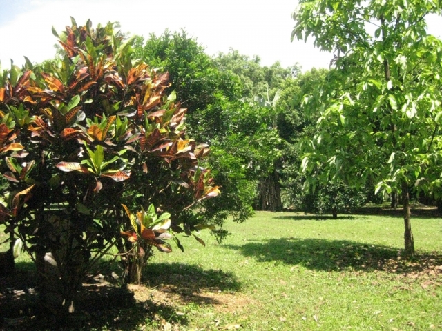  San Luis Potosi 