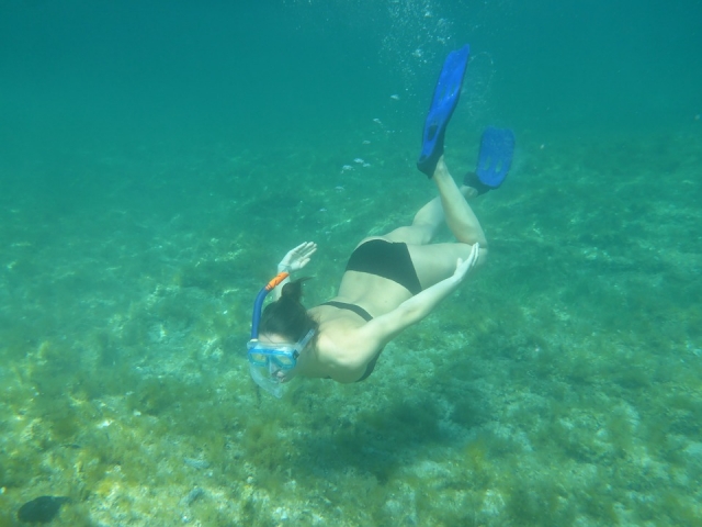  浮潜之旅 