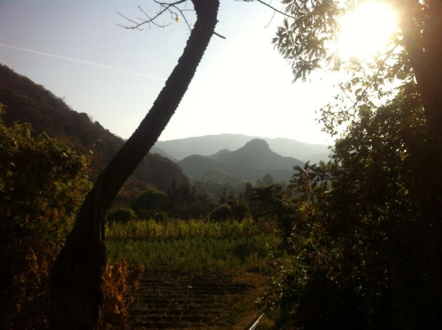  MK Landscape.jpg 