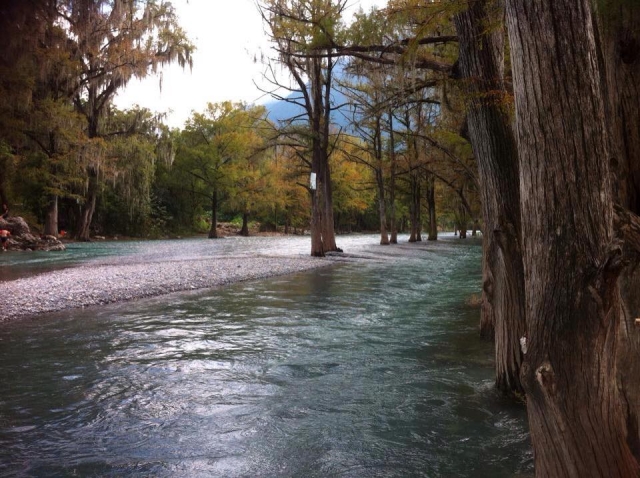  Images of the river 