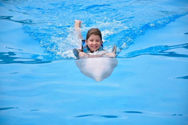  Ragazza felice con i delfini 