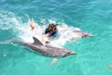 Schwimmen Sie mit 2 Delfinen in Cozumel mit Buffet