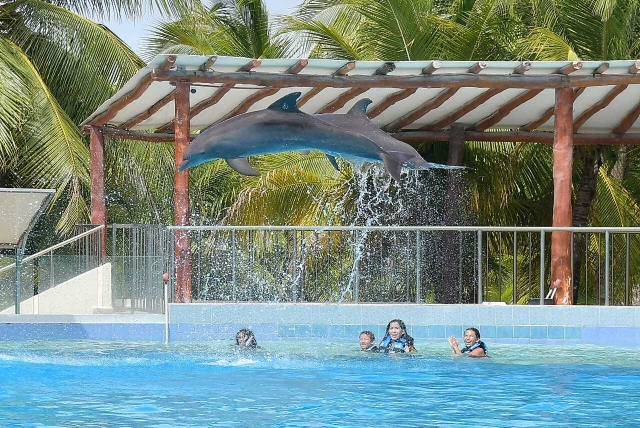  Salto in piscina 