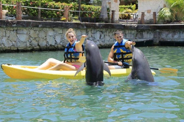  Kayaks and dolphins 