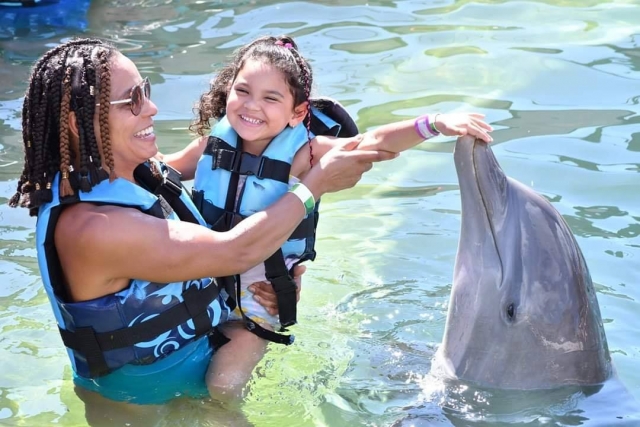  Bonheur avec les dauphins 