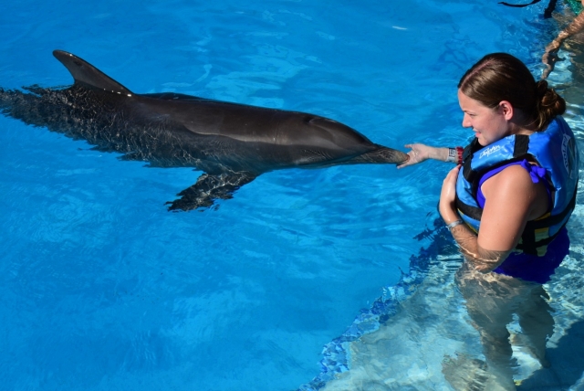  Interação com Delfines 