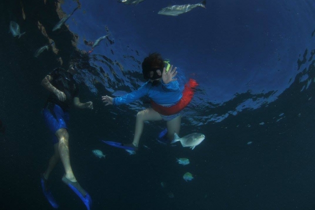  Snorkeling