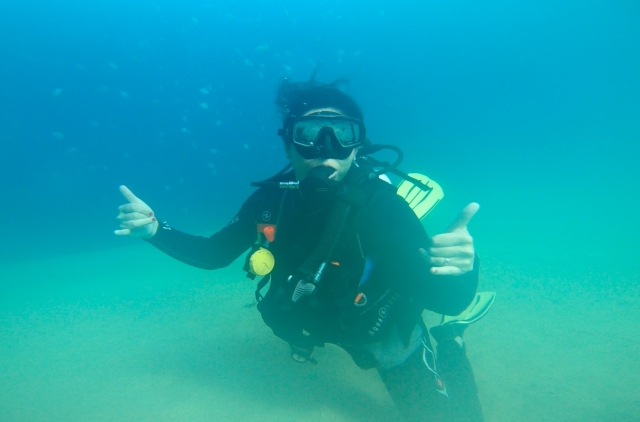  Tauchen im Meer von Cortez 