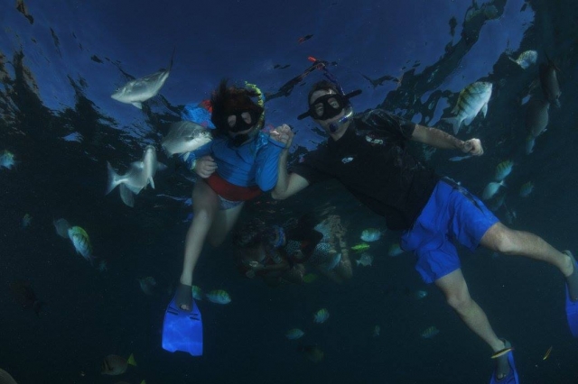  Discovering the underwater landscape 