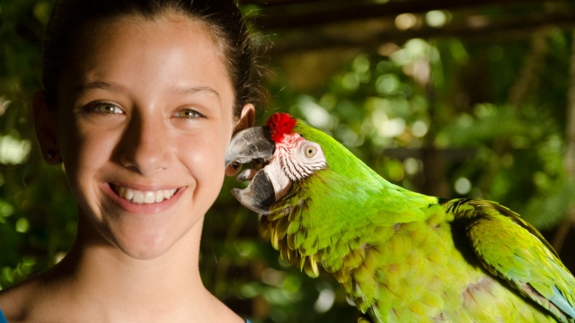  Interaction avec les animaux 
