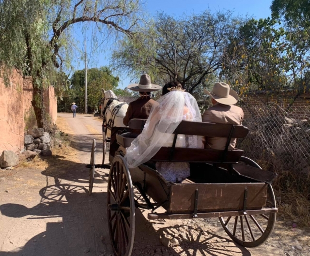  Carriage for bride and groom 