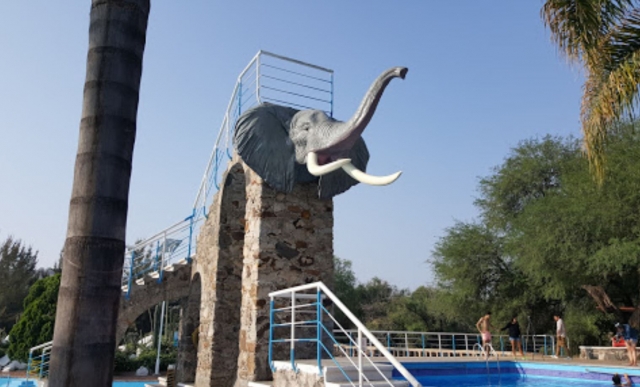  Elefant im Wasserpark 
