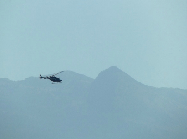  Fliegen in der Stadt 